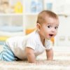 csm_7-9-months-introtext_fee7fcf815.th.jpg csm_7-9-months-introtext_fee7fcf815.th.jpg