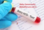 What Is Beta hCG Beta hCG Levels by Week of Pregnancy-37492348923847239801746738746.jpg