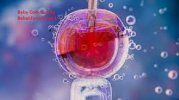 Who Is IVF Treatment Suitable For-37463746374637462.jpg