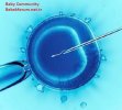 What Is In Vitro Fertilization - 28329864834763847236.jpg
