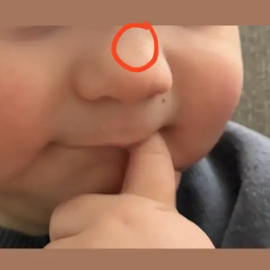 '{Category}' kategorisindeki '1775649954215.png' medyası