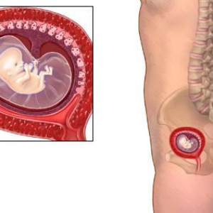 3 Week Of Pregnancy