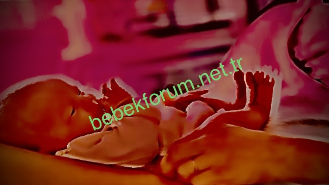 0A92B017-F19A-4B60-9F4F-6805C63F165A.jpeg