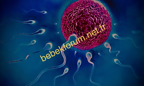 11EBEEA0-E326-4A7F-8A8C-17E246AFA822.jpeg