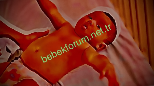 1BA55934-B770-4371-A142-E14B5B633DBC.jpeg