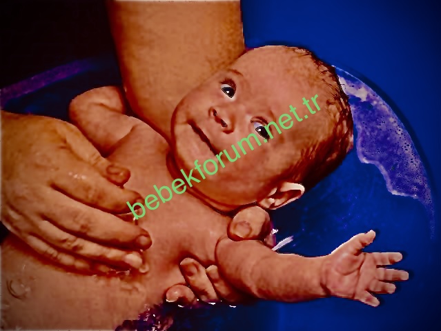 1BE41345-3202-485E-9344-338B4594E8A2.jpeg