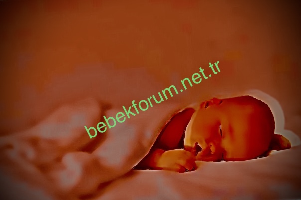 1D19AA25-E8E1-423A-A083-6CFB996C8B63.jpeg