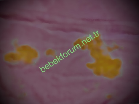 1F42CD88-66A6-4E01-B624-5E3C46D8B62F.jpeg