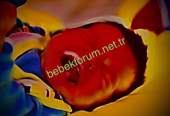 20597072-5B1A-41E9-9E49-C43A75C06CB0.jpeg