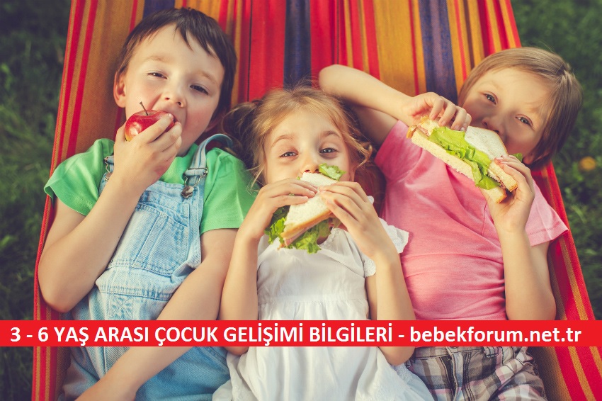 3---6-YAS-ARASI-COCUK-GELISIMI-BILGILERI---bebekforum.net.tr.jpg