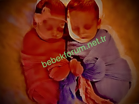 32052C21-6891-4E55-B403-665341071CB1.jpeg