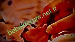3C9250BA-8F3F-40B4-8A5C-2B7B82E5B211.jpeg