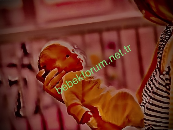 435B035E-0349-41E3-B494-CBEA7ABEE9C3.jpeg