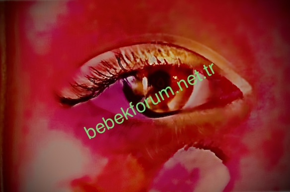 43BDA134-484F-484F-8961-762C1D64F69C.jpeg