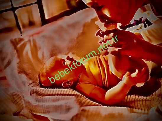4B9FB551-B219-434A-9C00-3ED793092942.jpeg