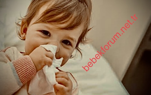 4E818B07-A594-4600-9097-F0FF6A84CD8A.jpeg