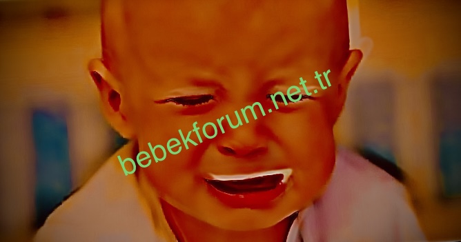 5DDB882B-0005-405F-BD7B-E8B6A54AF68B.jpeg