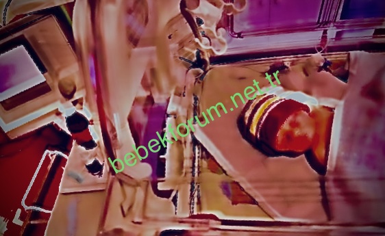 795D89DF-AE53-4F90-83F1-26A1844EF692.jpeg