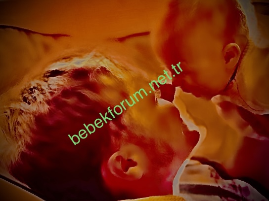 7CA6C7F4-370D-4DFA-8555-93C17BA6C5C1.jpeg