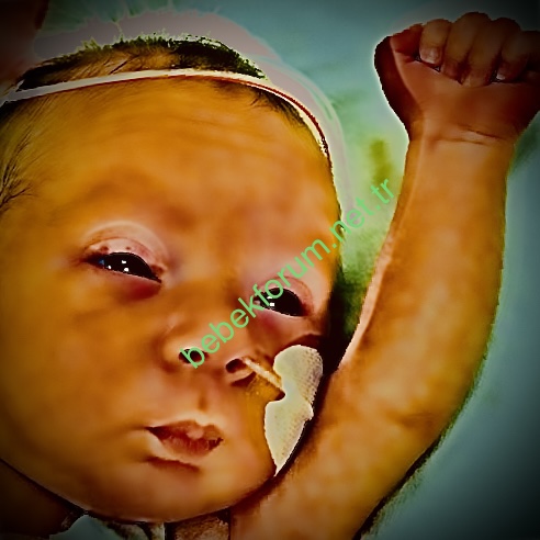 83D90674-C18E-426E-945B-17B880084031.jpeg