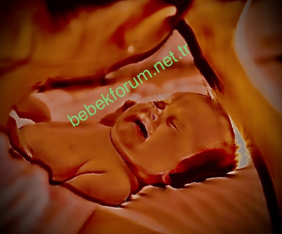 945797CE-3005-45F8-870F-FC8DF54E2C74.jpeg