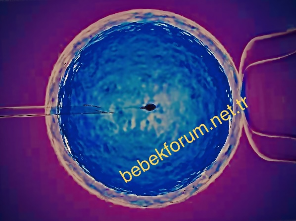 967AF24D-2557-4FBB-AE09-0B52134EF933.jpeg