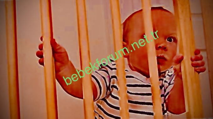 9732343C-2951-4BBD-9691-CBC2FE1C72BC.jpeg