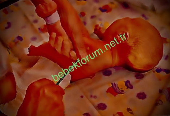 A5BC6393-43E8-4A74-B436-EEA2BF6E95DA.jpeg
