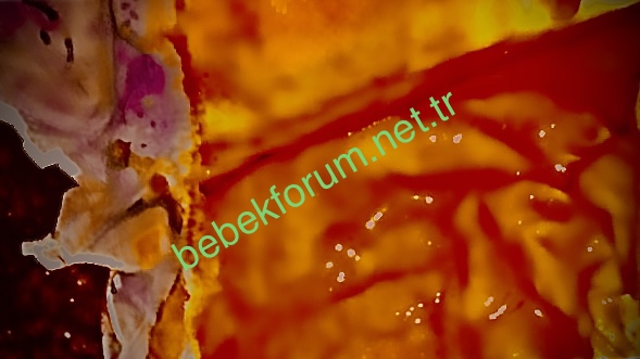 A645DE9D-7C57-4F0D-8D6F-40969760F094.jpeg