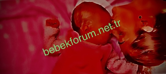AA341C32-D58C-440E-A1B9-3AB8AFAE7167.jpeg