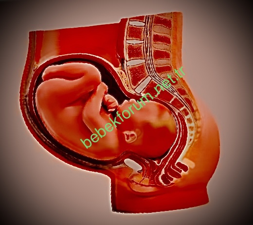 AF9B43B0-4B19-4B8D-B2AF-392CFB4D8436.jpeg