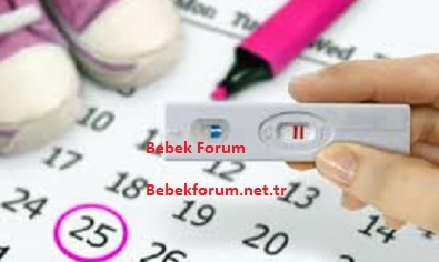 Anne Adaylarında Yumurtlama Günü ve Belirtileri-78989587345877234.jpg