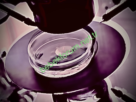 B4D07675-D695-46A5-8841-B6175F73285C.jpeg