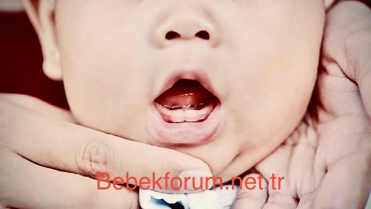 BAB8AFCB-9737-4109-97D9-9CC30D4ADEEB.jpeg
