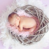 baby-784608_640.th.jpg