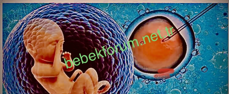 BE47497E-9C7E-4B3F-89DF-23ADF4CC95B9.jpeg