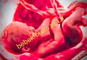 Before the Baby is Born.jpeg