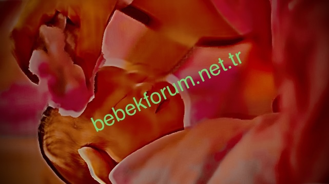 C1AA18DB-D6C6-4D7B-B01C-6921E7479E67.jpeg