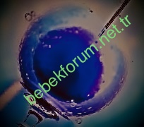 D0AA7D93-4DD6-4367-9AAB-1416EB8B958B.jpeg
