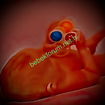 D41CF51A-2652-4BE2-9442-9191AC07AD30.jpeg
