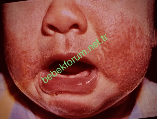 D779A12C-9332-4E5B-A131-8E5ACA047D32.jpeg