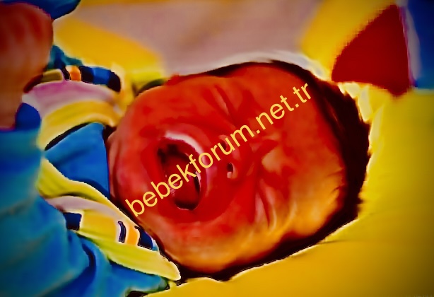 DA264D88-A254-470B-BB80-3E2D9620E426.jpeg