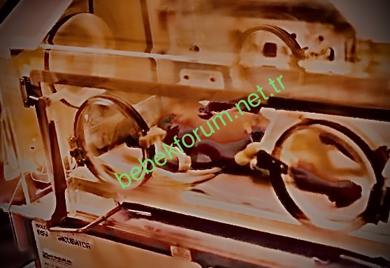 DE162AF1-008D-4F20-BC8B-5C689DF72D46.jpeg