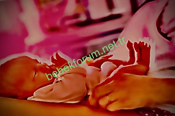 E114F98B-C0BA-4B17-8816-B35EAABB00A6.jpeg