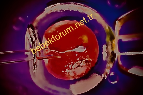 F1FD44E9-2F07-4AB1-9606-BCEDF1D6C3D2.jpeg
