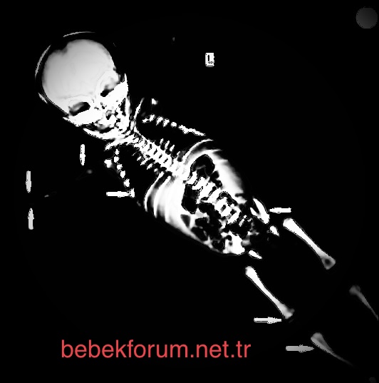 FF69339A-8C39-4212-8CE4-606CB244B318.jpeg