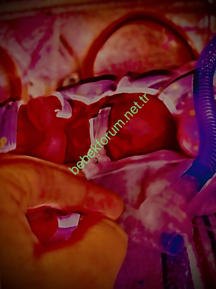 FFF15BDE-D949-4BAA-B061-856915E209C2.jpeg