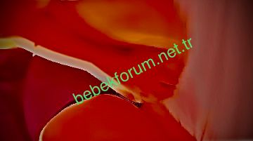 Gebe kalma yöntemleri.jpeg