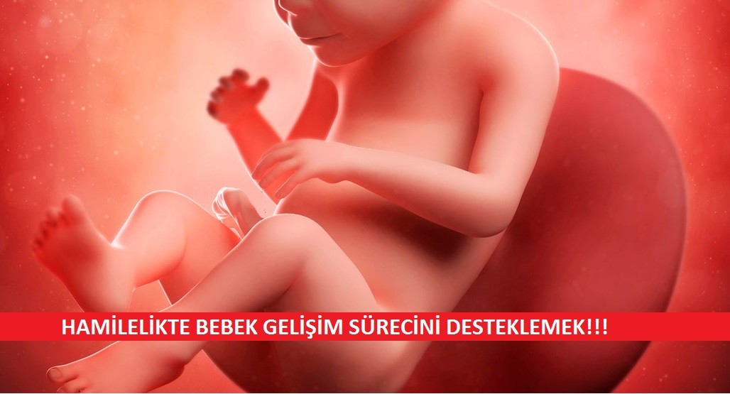 Hamilelikte-Bebek-Gelisim-Surecini-Desteklemek.jpg