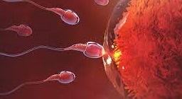 oneweekpregnant.jpg